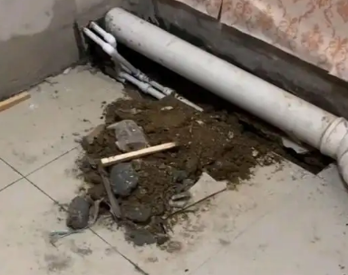 红岗卫生间漏水检测哪家好