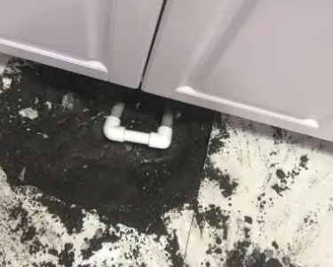 红岗查漏水哪家好